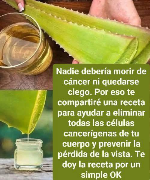 646204323 1617053699338453 1233762000181878044 n