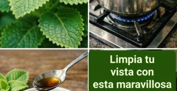 646275294 2108768349923918 4164765434587322082 n