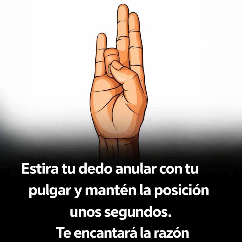 646282752 2008761110048405 7942964578979639612 n