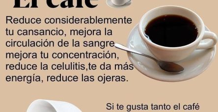 646383398 1595326735136449 5982639521693964382 n