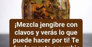 646507939 122282502128169103 6357665758218101369 n