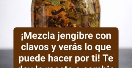 646507939 122282502128169103 6357665758218101369 n