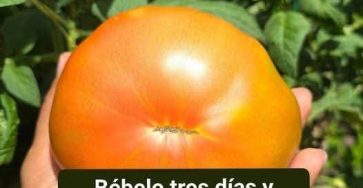 646847426 1591702535396430 7330859915317697863 n