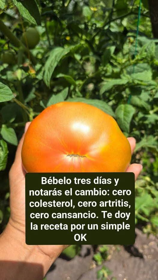 646847426 1591702535396430 7330859915317697863 n