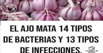 646989689 1928053314470099 5849226795478225357 n