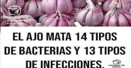 646989689 1928053314470099 5849226795478225357 n