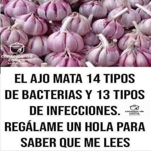 646989689 1928053314470099 5849226795478225357 n