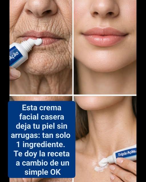 647068954 1425859942339817 7646040750086345201 n