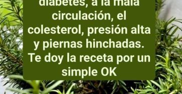 647092588 1968572024016594 7837295268361776502 n (1)