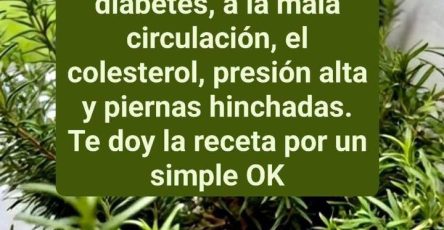 647092588 1968572024016594 7837295268361776502 n (1)