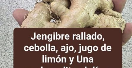 647108796 1328744495966051 797071284006386792 n