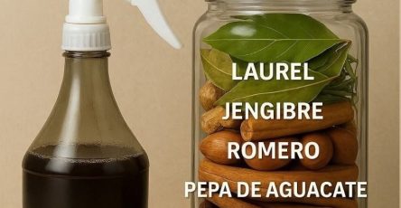 647127650 122166321482750781 8524261056699661133 n