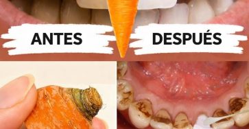 647154775 1979002239693018 6782288430491584520 n