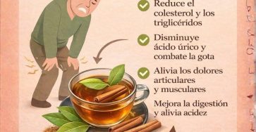 647154880 1430421409094785 5269997447350253718 n