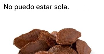 647314103 122196346940479760 7457132271748500223 n