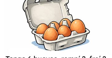 647320210 903569389199246 1389156604007756891 n