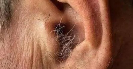 648114113 1487277776314620 6550366007190174654 n