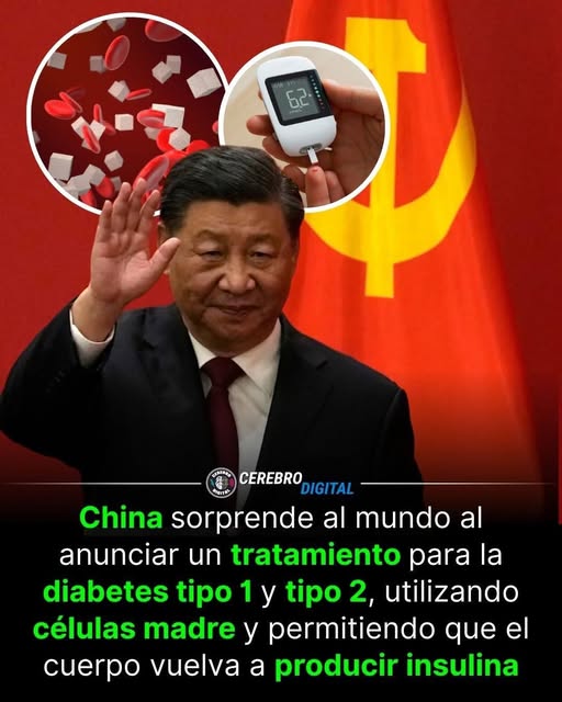 648254577 122125293291019915 1458042487756841899 n