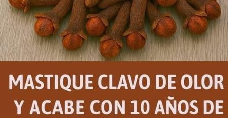 648314535 887088597698985 7409193421176629215 n