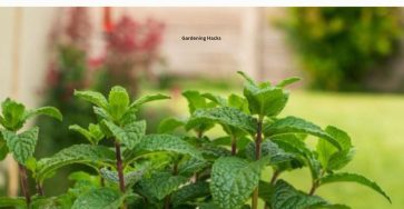 648349492 1363829989118858 2353113576794274507 n