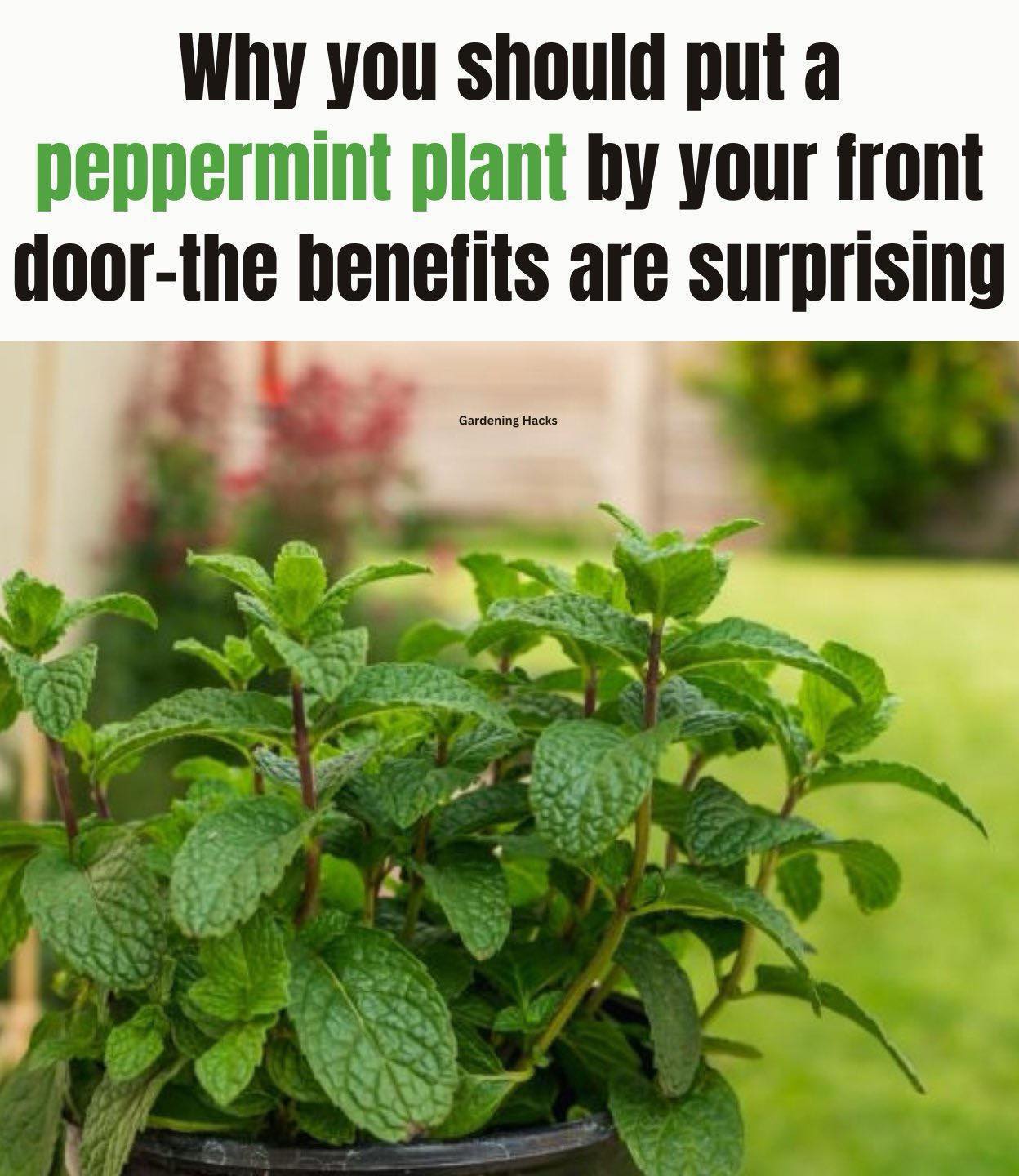 648349492 1363829989118858 2353113576794274507 n