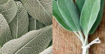 648458122 948941930813652 1133379065004593186 n