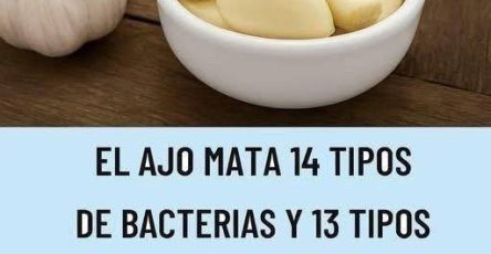 648462072 122194844156544361 2424610358482658256 n