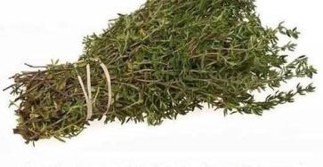 648509162 911219441893175 585465093811995020 n