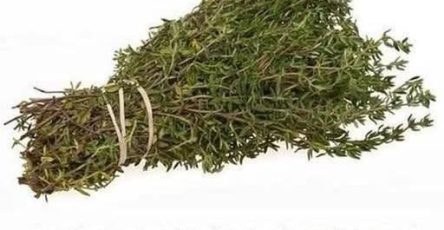 648509162 911219441893175 585465093811995020 n