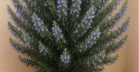 648525236 1928430404432390 2467577361679300907 n