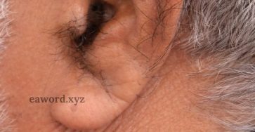 648807573 932708712585324 1970662684489937346 n