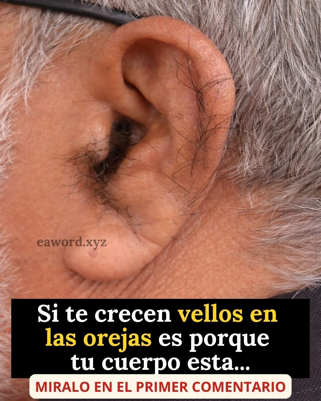 648807573 932708712585324 1970662684489937346 n