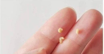 648833862 1722782889099262 285673386668525651 n