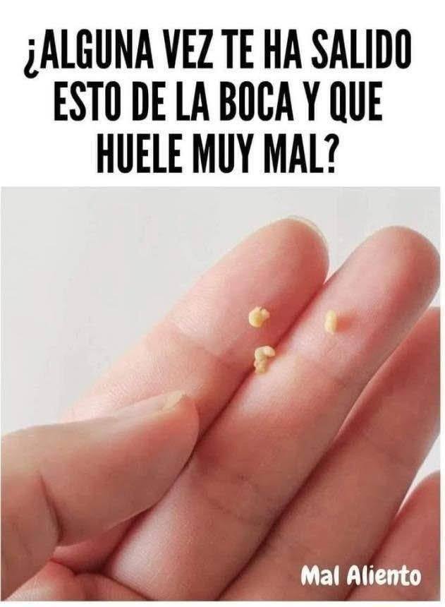 648833862 1722782889099262 285673386668525651 n