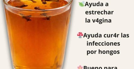 649240415 844337071997364 7683424404518077532 n