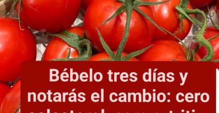 649255108 2656213551427455 6056183704867898762 n