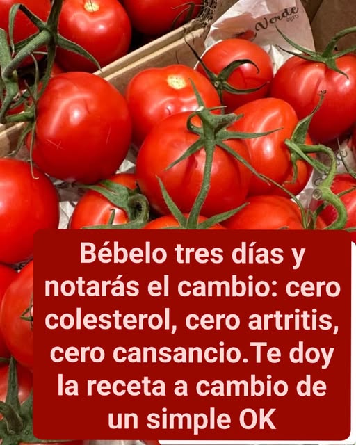 649255108 2656213551427455 6056183704867898762 n