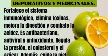 649266641 122127482877010112 5761039832842462115 n