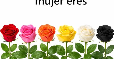 649558616 947262481131967 4902553301058484437 n