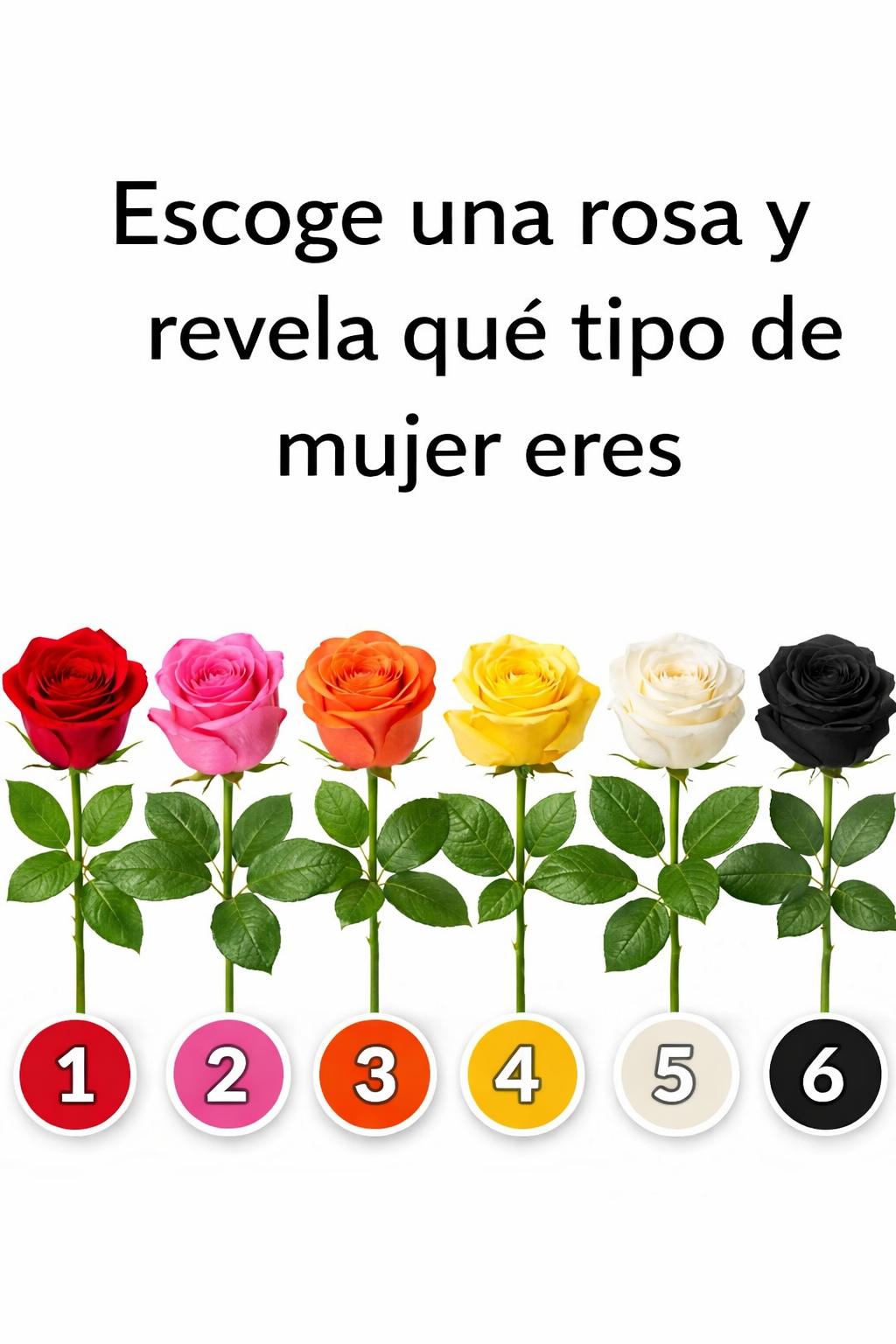 649558616 947262481131967 4902553301058484437 n