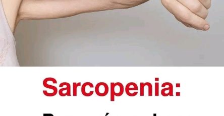 649760662 1614589952919423 9066520821796373601 n