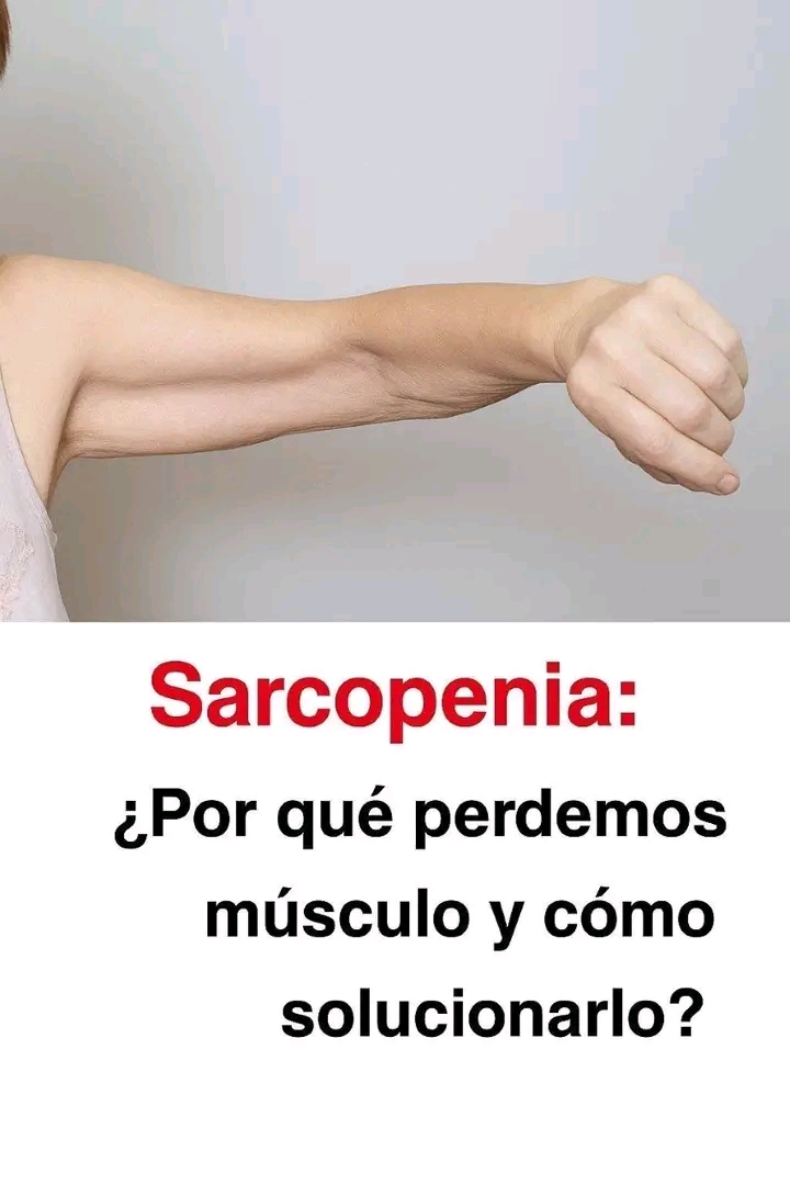 649760662 1614589952919423 9066520821796373601 n