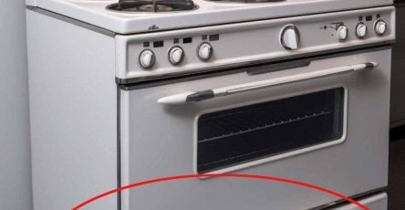 649834659 122196989276479760 4138424497707118080 n