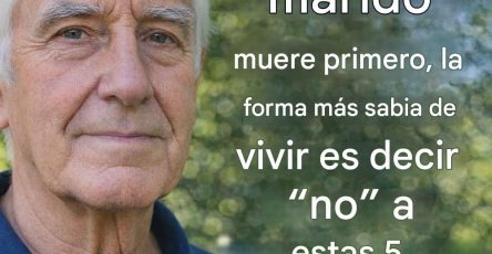 650050643 1491074209268310 6147530214448804620 n