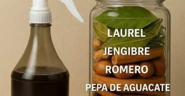 650174942 1932014994073931 532426052468805980 n