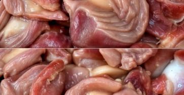 650214079 1599155764753546 4359672422577179142 n