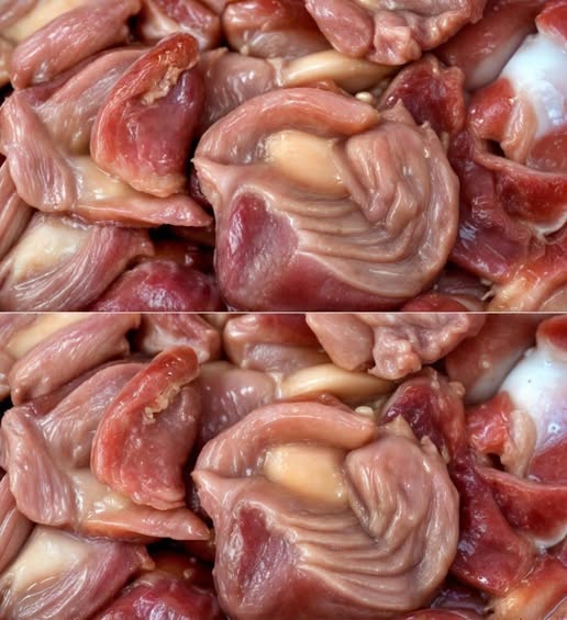 650214079 1599155764753546 4359672422577179142 n