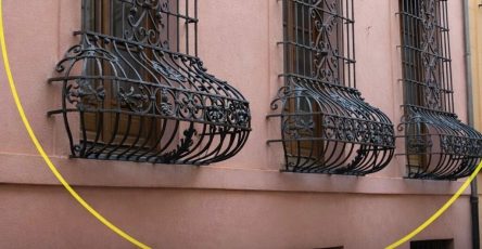 650730404 1473968461055626 6846110839992909089 n