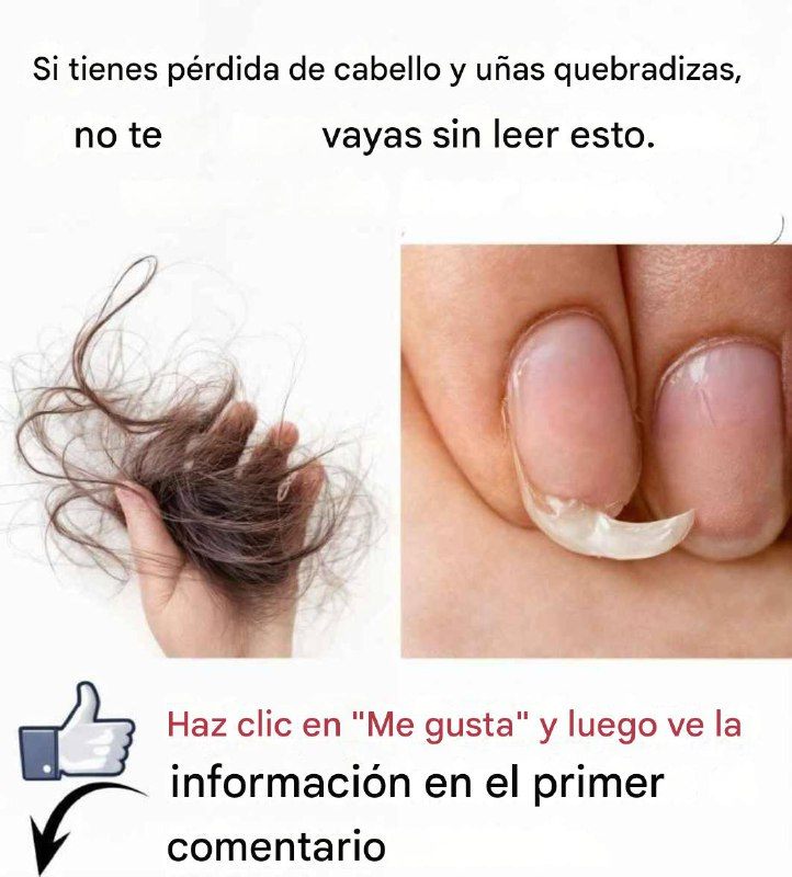 650881707 1442884060721226 1147809682066575612 n