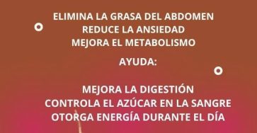 650968913 815382648261024 946623929369385956 n